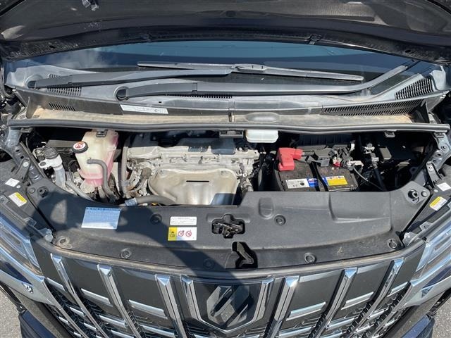 Toyota ALPHARD 2018 8597973-14