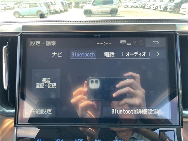 Toyota ALPHARD 2018 8597973-17