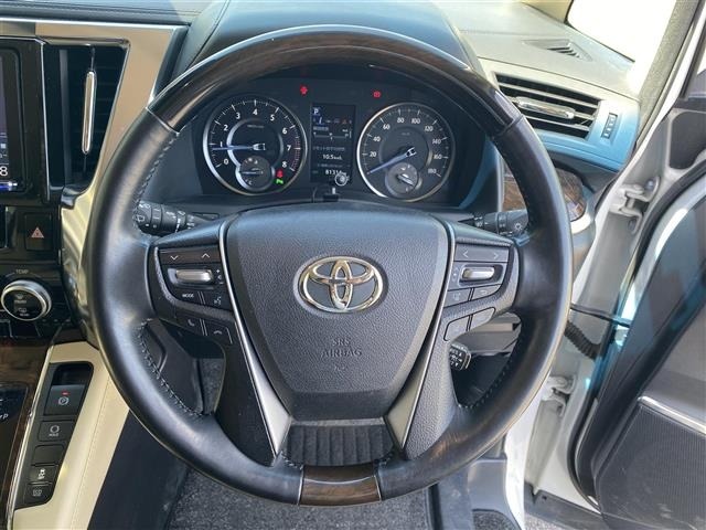Toyota ALPHARD 2019 8597983-17