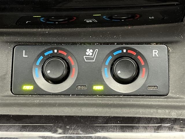 Toyota ALPHARD 2019 8597985-12