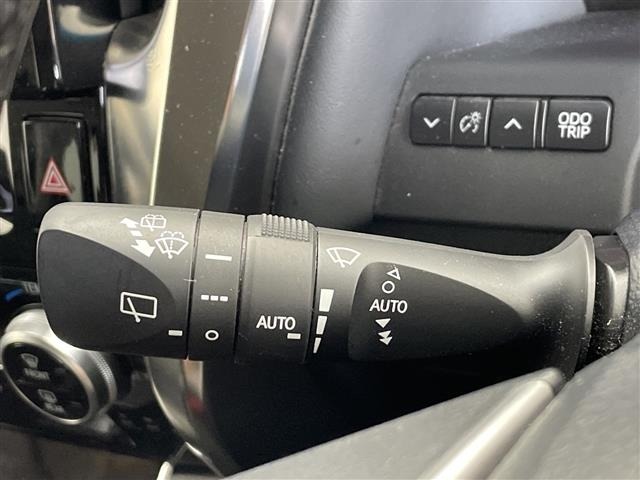 Toyota ALPHARD 2019 8597985-8