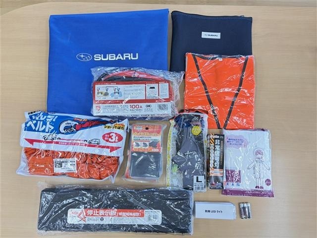 Subaru LEVORG 2019 8597799-20