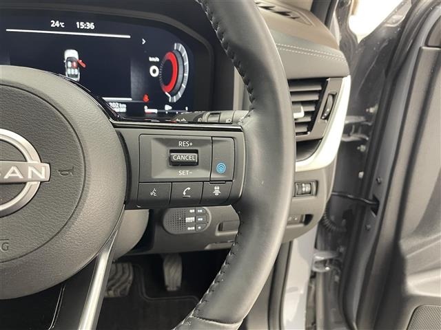 Nissan X-TRAIL 2024 8596635-8