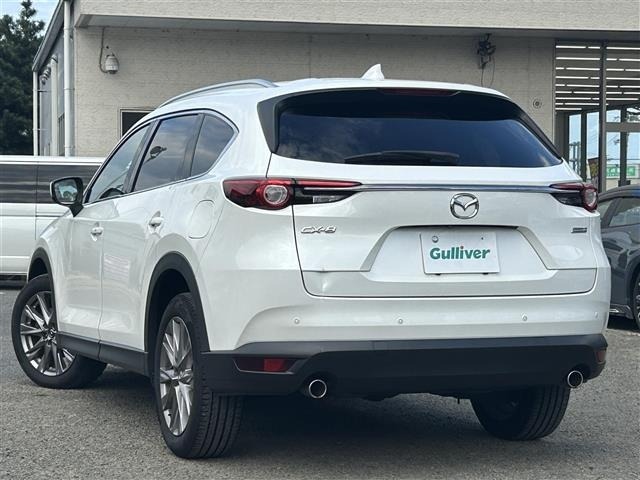 Mazda CX-8 2019 8599948-13