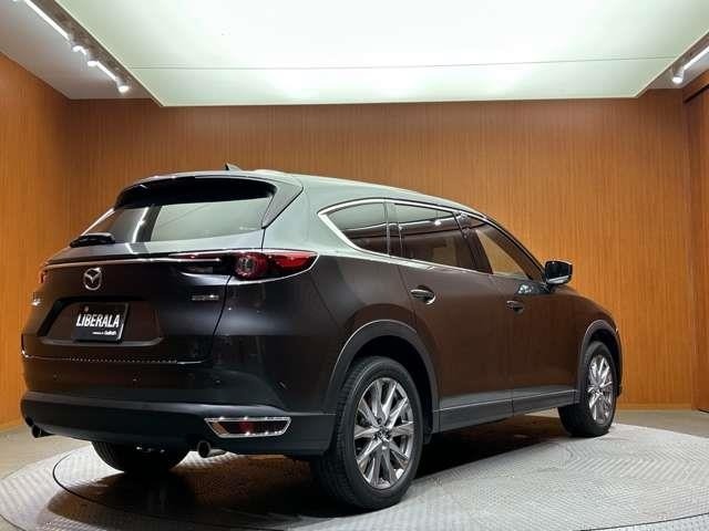 Mazda CX-8 2021 8599951-13