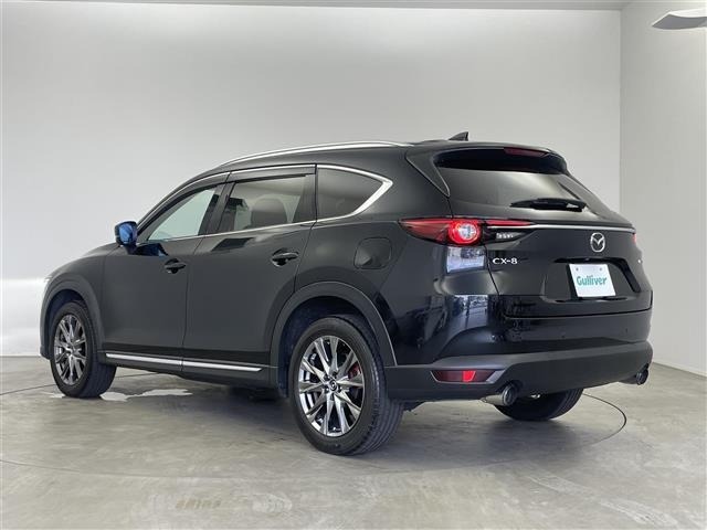 Mazda CX-8 2021 8599952-13