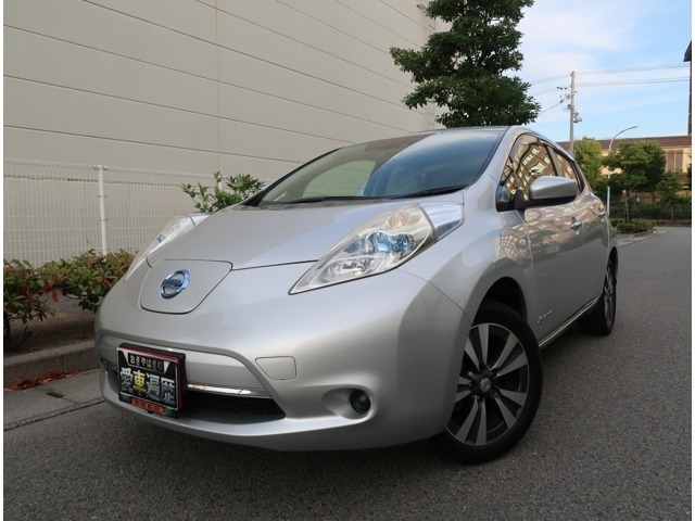 Nissan LEAF 2017 8607634-0