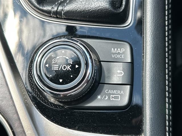 Nissan SKYLINE 2016 8607710-39