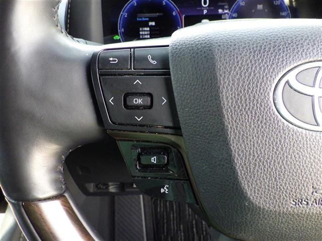 Toyota ALPHARD 2024 8622196-9