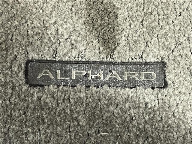 Toyota ALPHARD 2004 8622199-23
