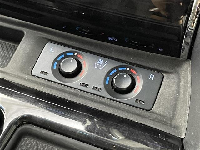 Toyota ALPHARD 2019 8622204-15