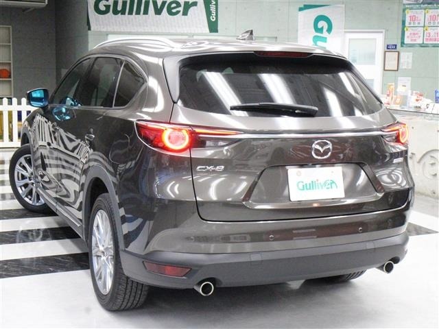Mazda CX-8 2018 8622953-13