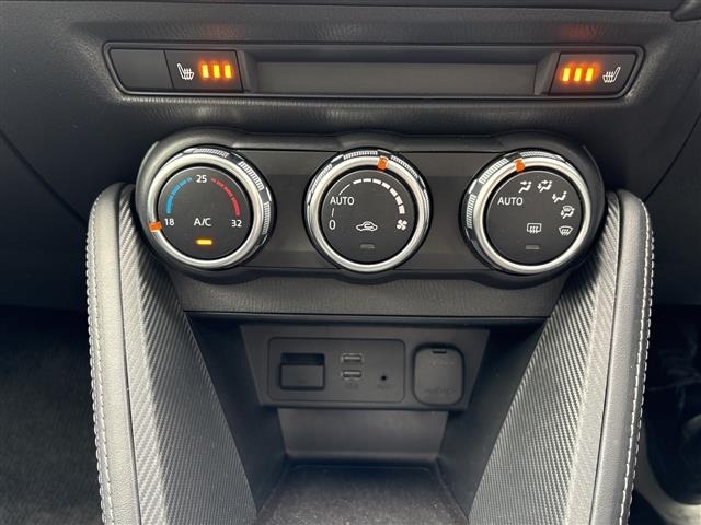 Mazda DEMIO 2017 8622045-20