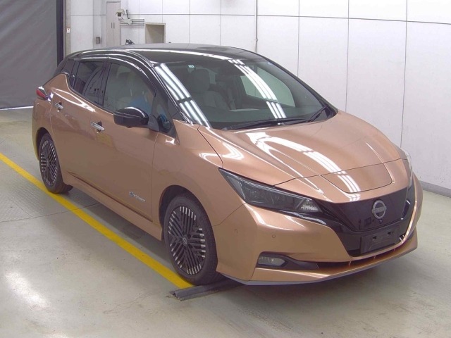 Nissan LEAF 2023 8623840-0