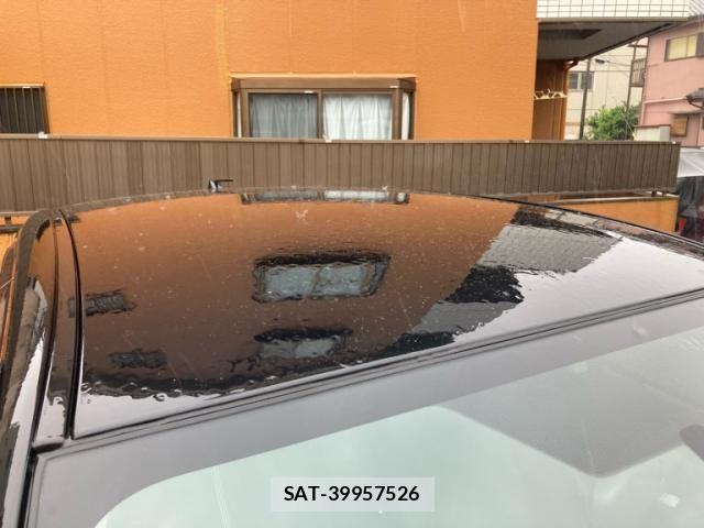 Subaru IMPREZA 2013-06 7251100-21