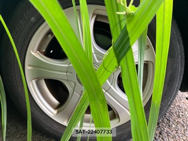 Toyota IST 2005-08 8412970-2