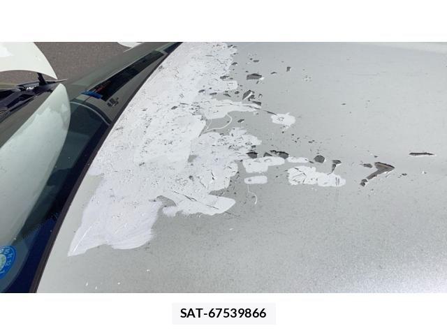 Toyota IST 2008-07 8666289-23