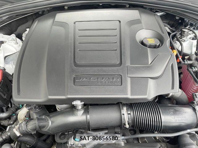 Jaguar F-PACE 2025-03 4325358-19
