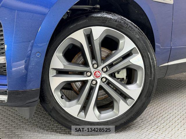 Jaguar F-PACE 2024-01 7500997-16