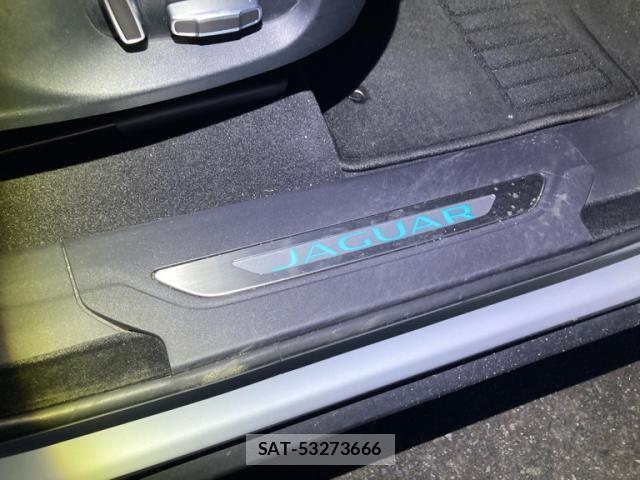 Jaguar F-PACE 2020-03 7876994-15