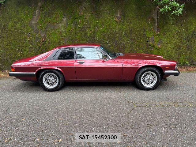 Jaguar XJ SERIES 1991-05 8485525-8