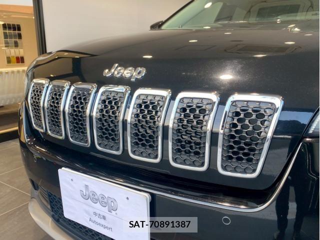Jeep CHEROKEE 2020-01 6612404-10