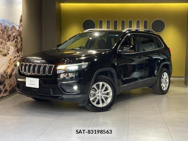 Jeep CHEROKEE 2019-02 8412972-4