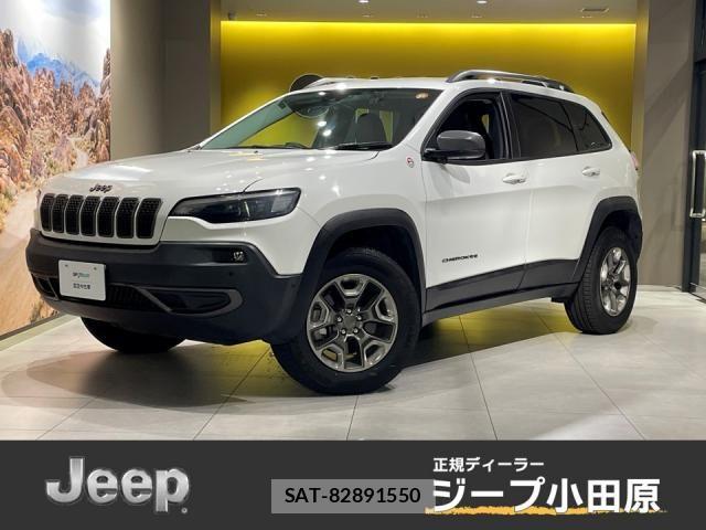 Jeep CHEROKEE 2019-07 8880195-0