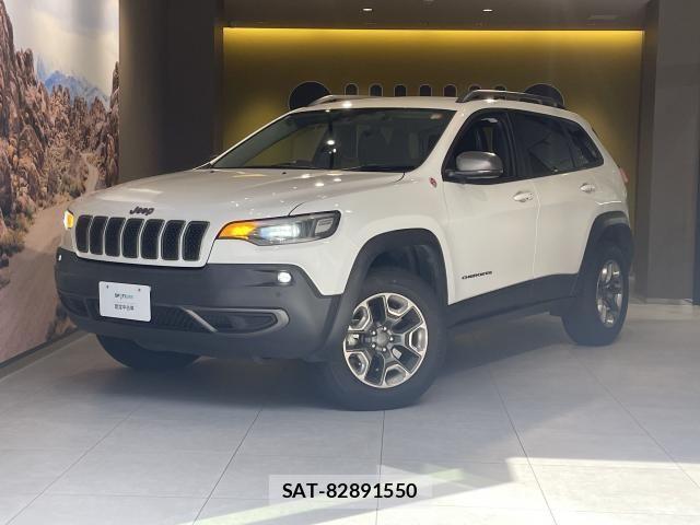 Jeep CHEROKEE 2019-07 8880195-4
