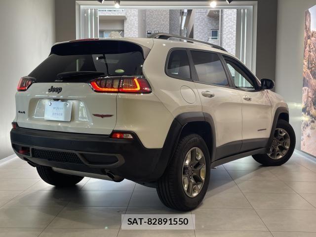 Jeep CHEROKEE 2019-07 8880195-5