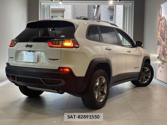 Jeep CHEROKEE 2019-07 8880195-6