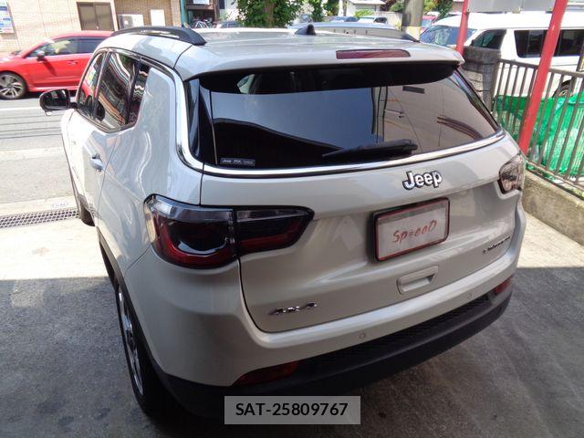 Jeep COMPASS 2020-09 8207995-3