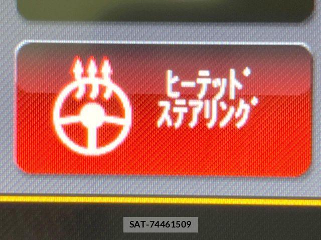 Jeep GRAND CHEROKEE 2017-06 7979565-7
