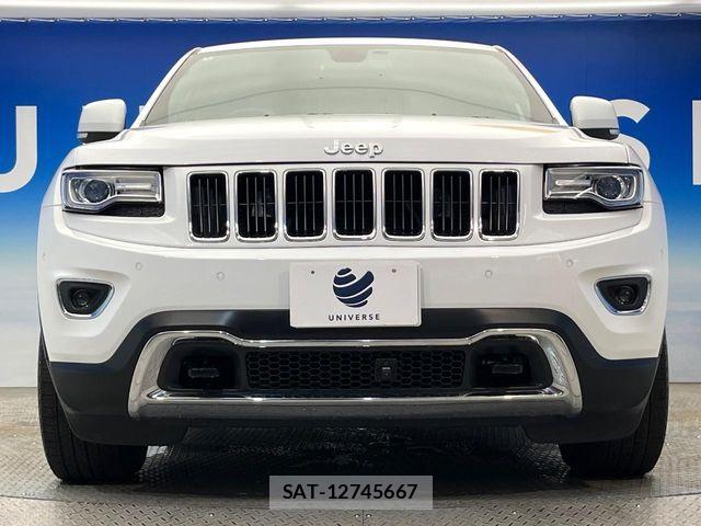 Jeep GRAND CHEROKEE 2014-08 8208001-16