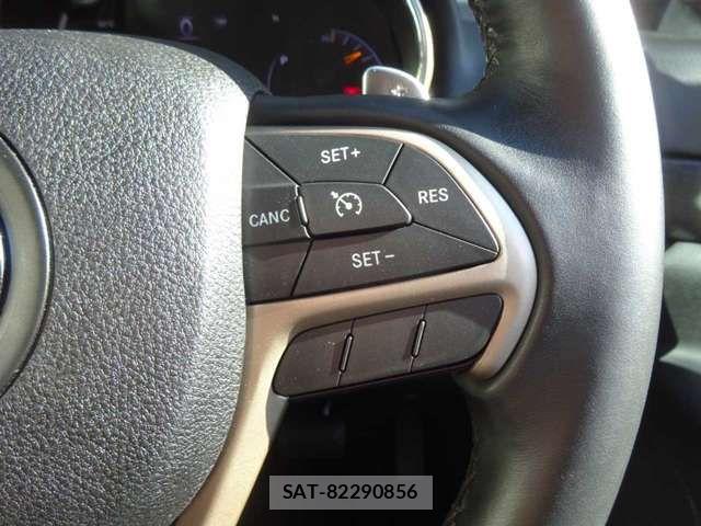 Jeep GRAND CHEROKEE 2016-07 8659595-14
