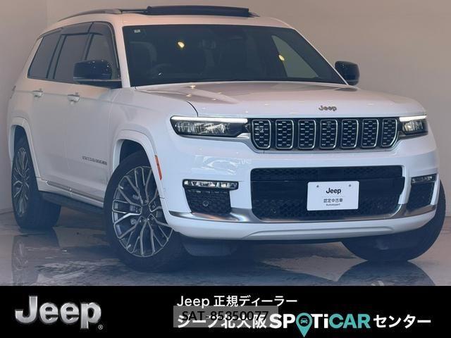 Jeep GRAND CHEROKEE 2024-07 7220046-0