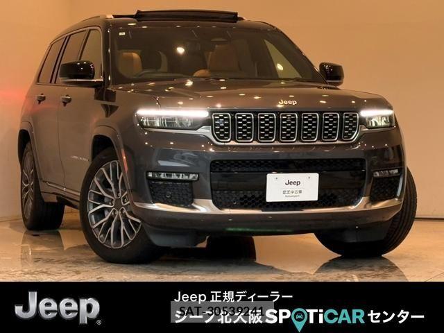Jeep GRAND CHEROKEE 2024-07 8871218-0
