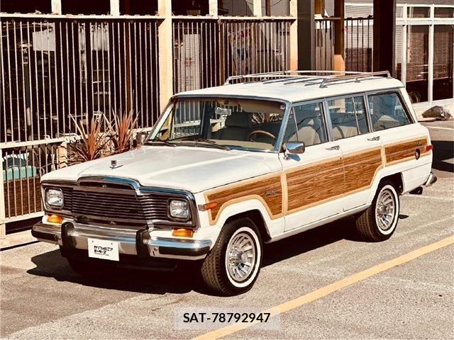 Jeep Grand Wagoneer 1990-01 6994415-0