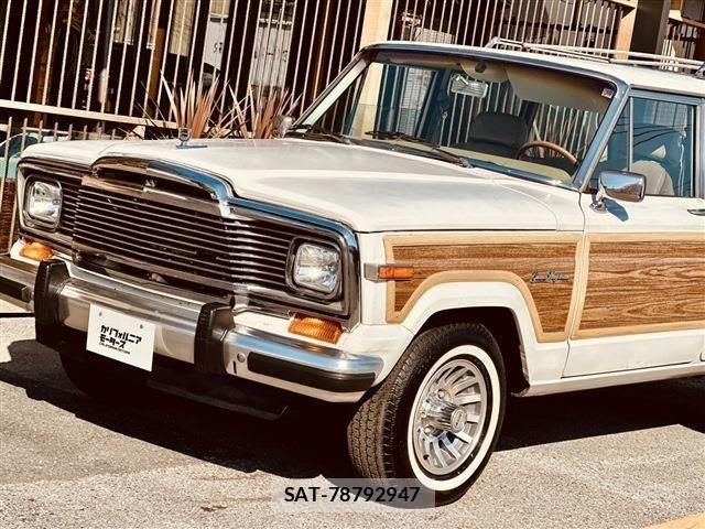 Jeep Grand Wagoneer 1990-01 6994415-14