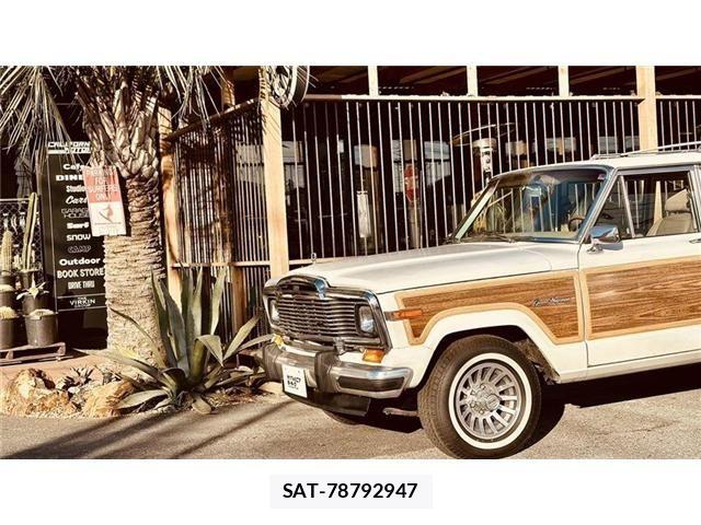 Jeep Grand Wagoneer 1990-01 6994415-18