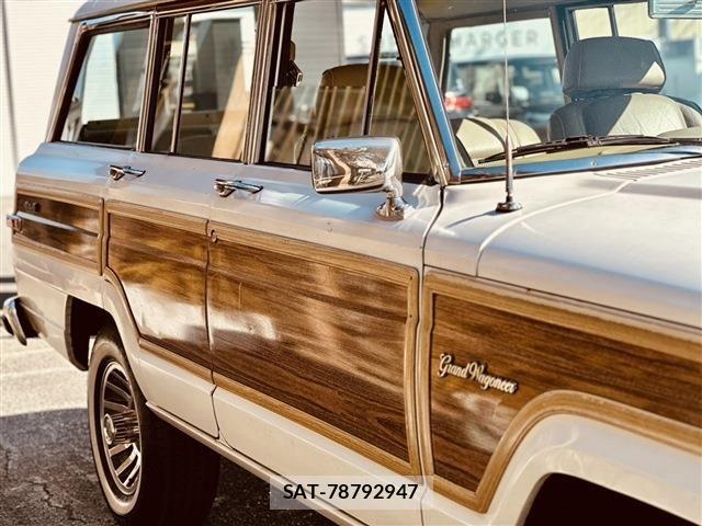 Jeep Grand Wagoneer 1990-01 6994415-19