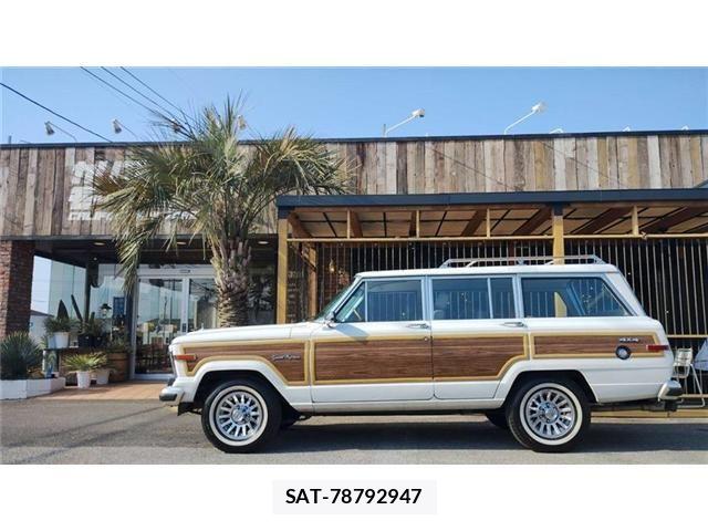 Jeep Grand Wagoneer 1990-01 6994415-24