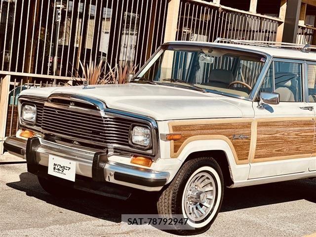 Jeep Grand Wagoneer 1990-01 6994415-3