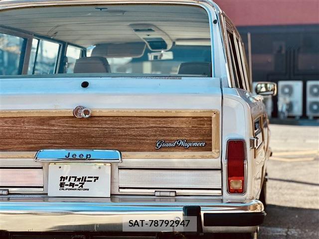 Jeep Grand Wagoneer 1990-01 6994415-6