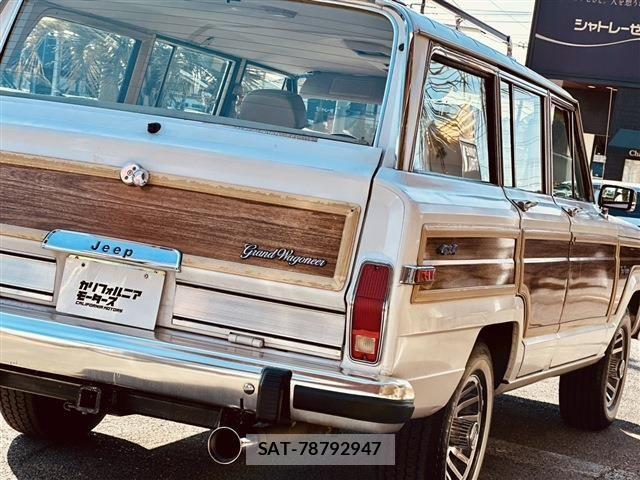 Jeep Grand Wagoneer 1990-01 6994415-7