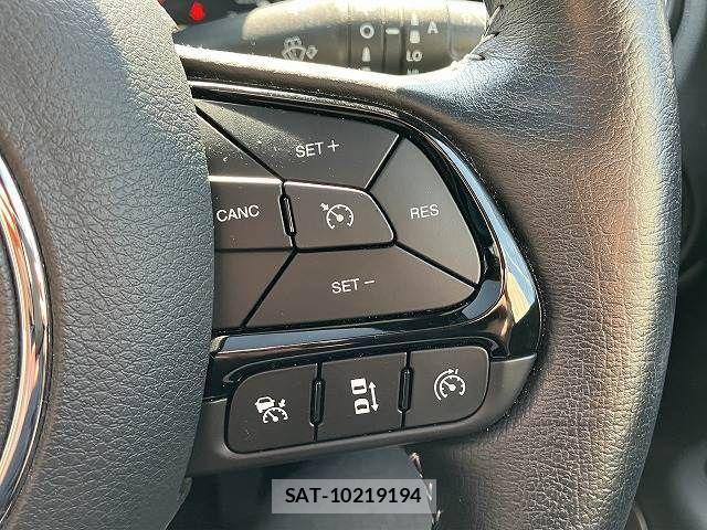 Jeep RENEGADE 2021-04 1029468-6