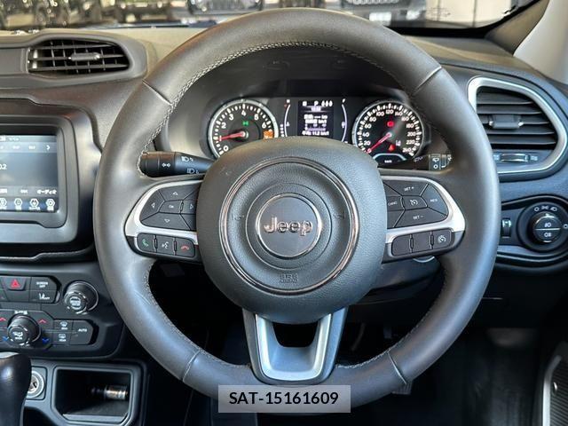 Jeep RENEGADE 2019-06 2009983-11