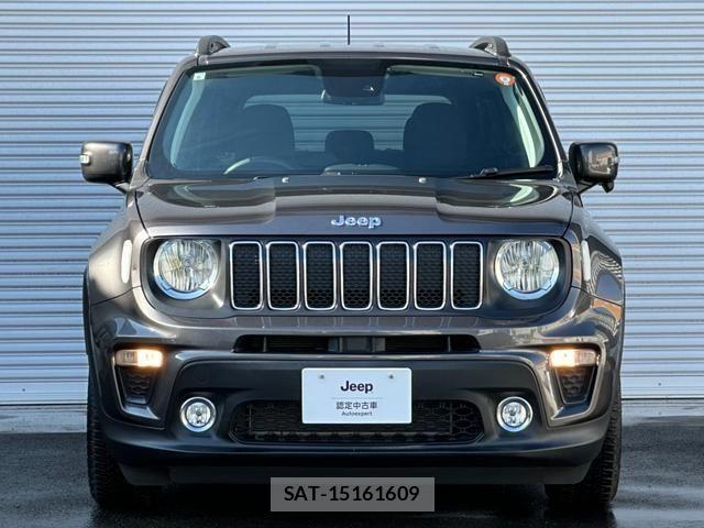 Jeep RENEGADE 2019-06 2009983-13