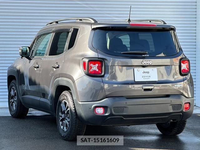 Jeep RENEGADE 2019-06 2009983-2