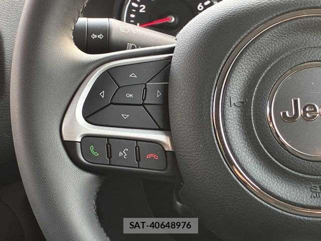 Jeep RENEGADE 2022-04 4961007-19